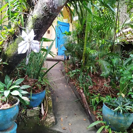 Cultura Mix Guest House-3